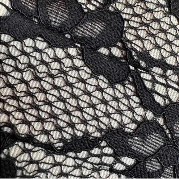 HD in Paris Black Lace Mini Dress - Picture 3 of 5